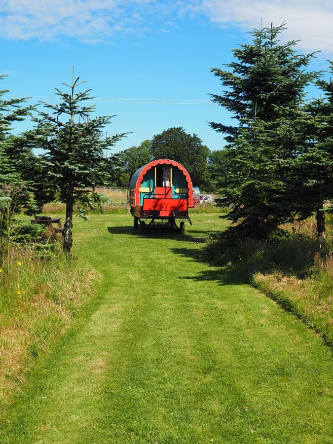 Clissmann Horse Caravans Glamping Ратдръм Екстериор снимка