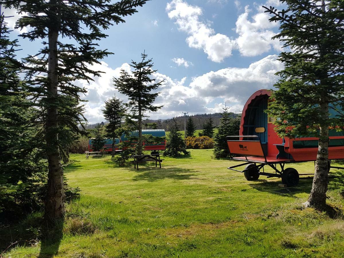 Clissmann Horse Caravans Glamping Ратдръм Екстериор снимка