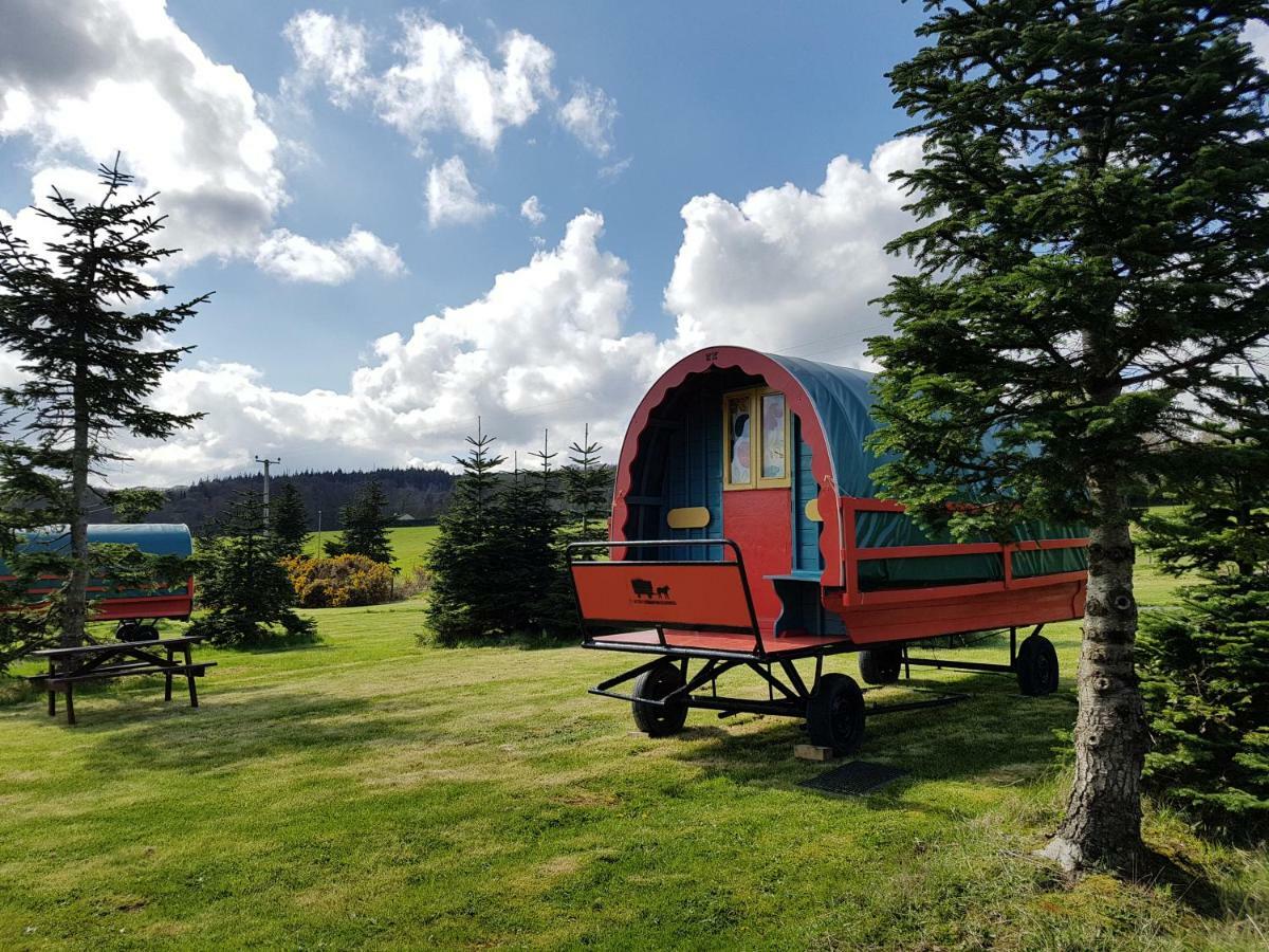 Clissmann Horse Caravans Glamping Ратдръм Екстериор снимка