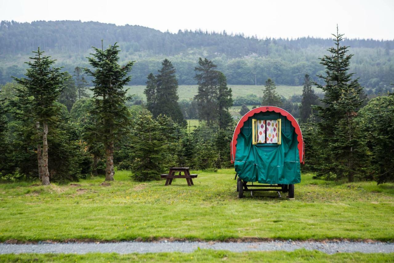 Clissmann Horse Caravans Glamping Ратдръм Екстериор снимка