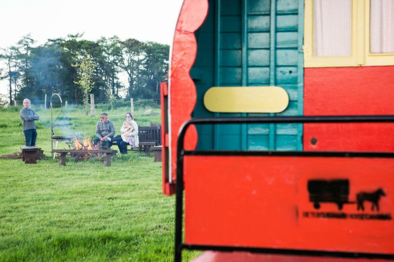 Clissmann Horse Caravans Glamping Ратдръм Екстериор снимка
